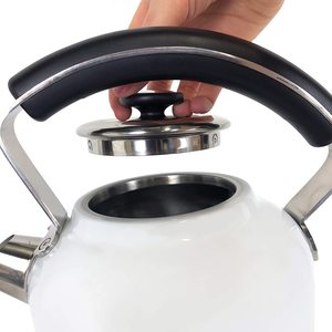 Ariete Moderna Kettle's handle and lid.