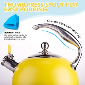 Susteas Tea Kettle's lid and handle.